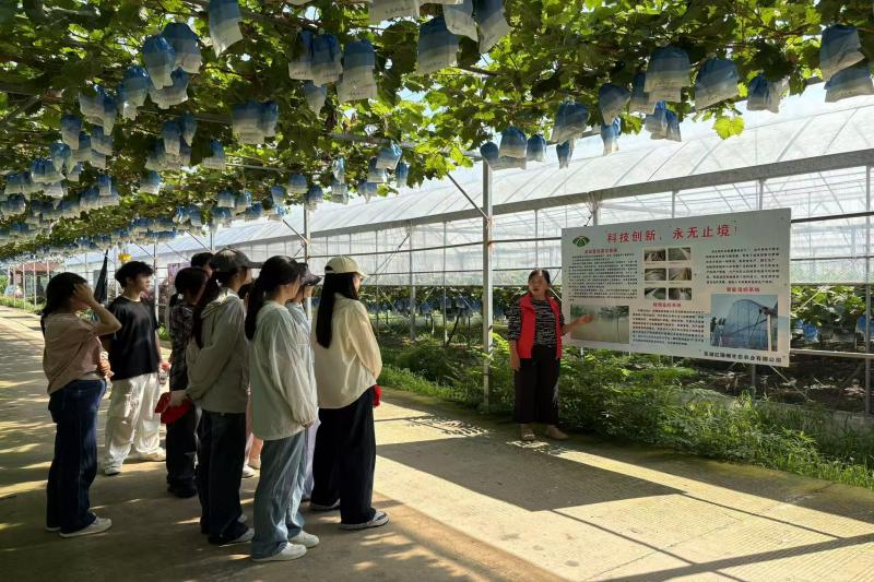 种植人员向团队成员介绍果园种植模式画面.jpg