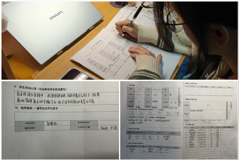 图为学生填写劳动日志.png