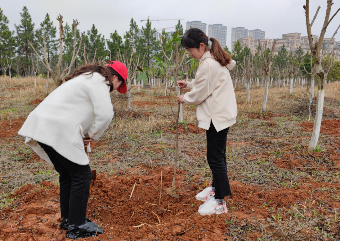 @A1}6I(V1}N2I53UNDIK~GW.png @A1}6I(V1}N2I53UNDIK~GW.png