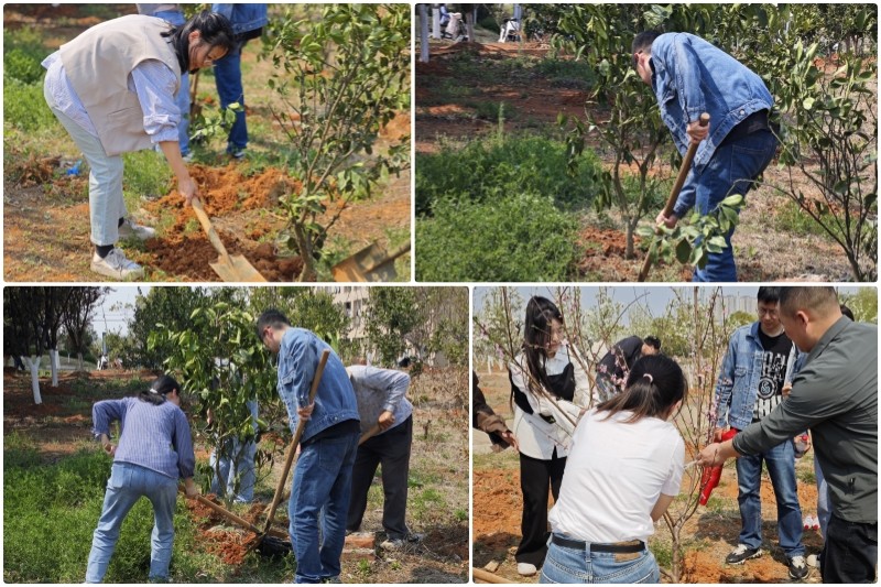老师们带头积极植树.jpg